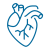 Human Heart Tissue