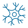 Human DRG Tissue