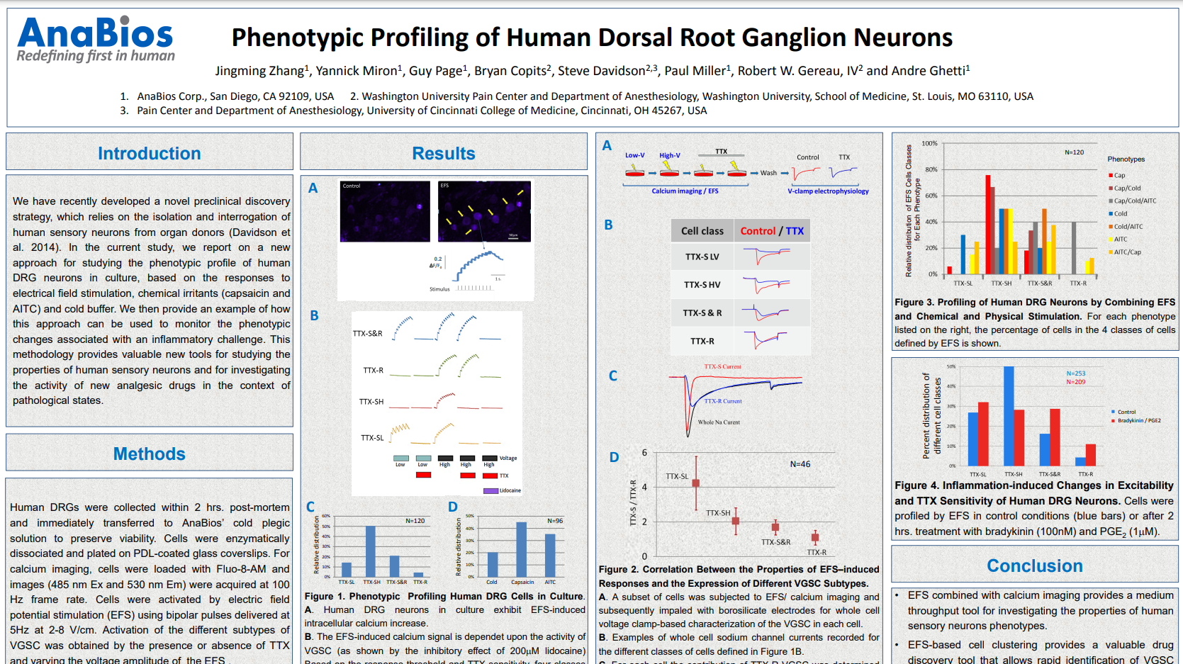 Phenotypic Profiling of Human Dorsal Root Ganglion Neurons