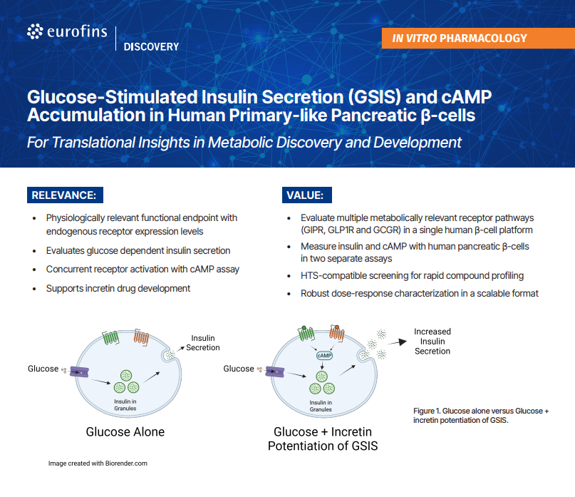 [Flyer]Glucose-Stimulated Insulin Secretion (GSIS) and cAMP Accumulation in Human Primary-like Pancreatic β-cells