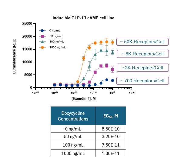 [신약개발 서비스 2월 리포트] 비만 및 대사질환 치료제 개발을 위한 핵심 자료를 확인해보세요!