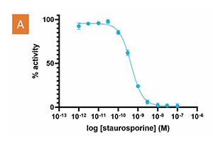 [신약개발 서비스 3월 리포트] 차세대 Kinase 타깃 치료제 개발 가속화를 위한 핵심 자료!