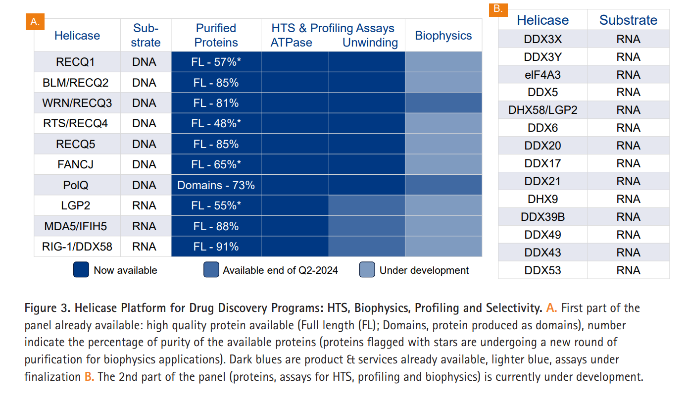 [Poster] A Comprehensive Helicase Offer to Expand Drug Discovery Horizons from Hit Finding to Lead Optimization