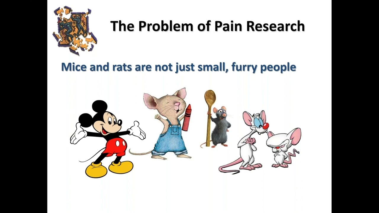 Dr. Rob Gereau Presents 
