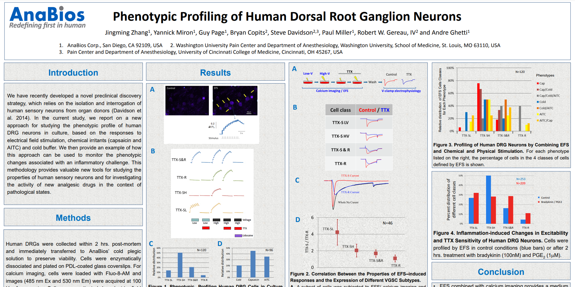 [Poster] Phenotypic Profiling of Human Dorsal Root Ganglion Neurons