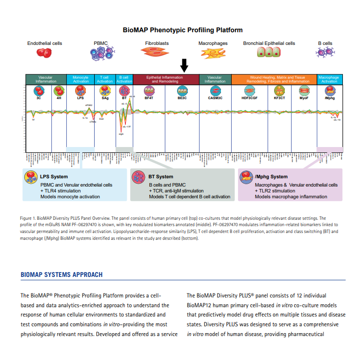 [White Paper] PHENOTYPIC PROFILING IDENTIFIES BIOMARKERS AND MECHANISMS OF TOXICITY