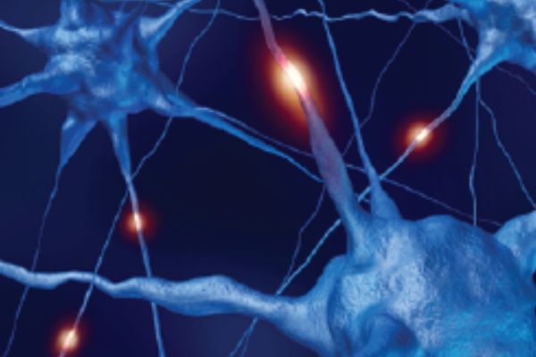 CNS and Pain in vivo models