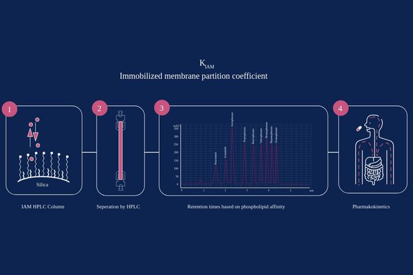 Biomimetic Chromatography Screen