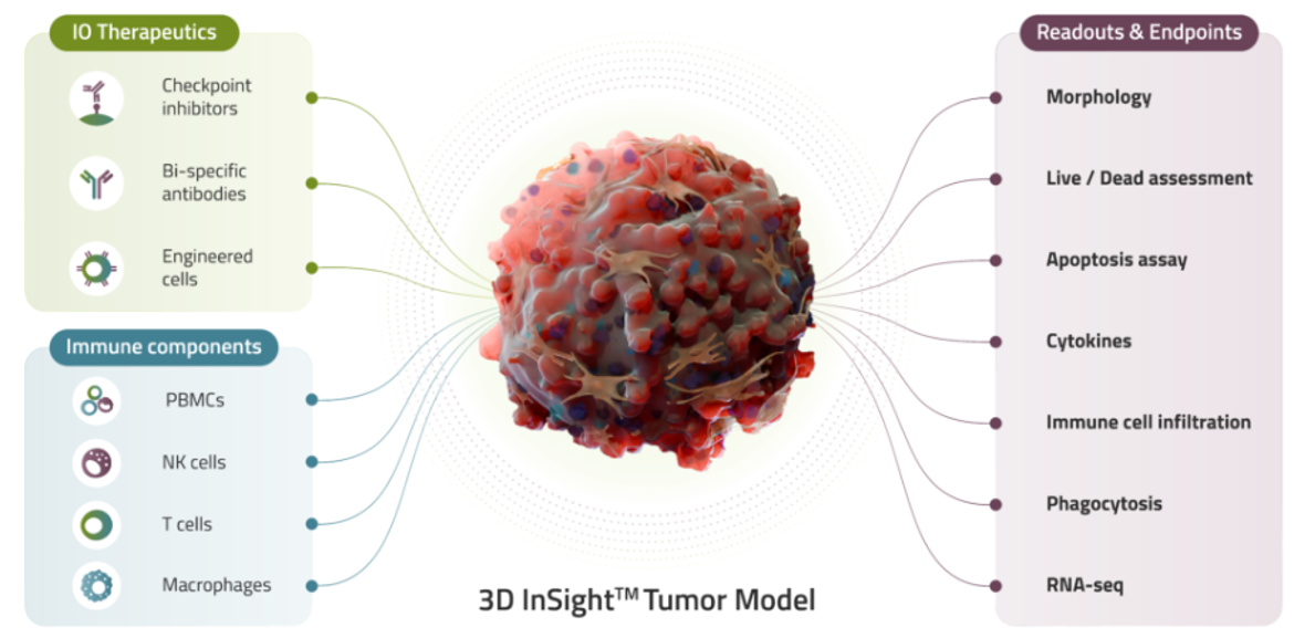 Oncology