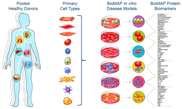 BioMAP Panels