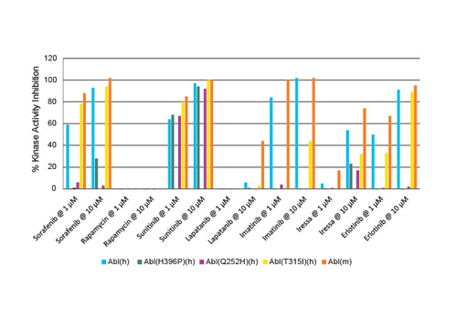 Kinase Activity Assays